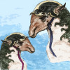 /image/armatar_1150_120.120_c_ou.png