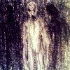 /image/armatar_689_120.120_c_ou.png
